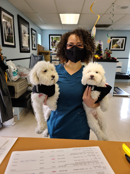 Northside Veterinary Clinic