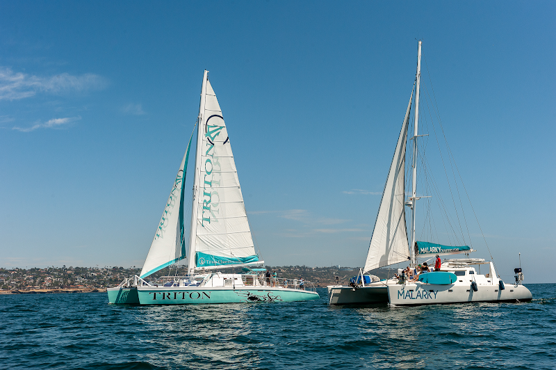 Triton Charters and Yacht Rental