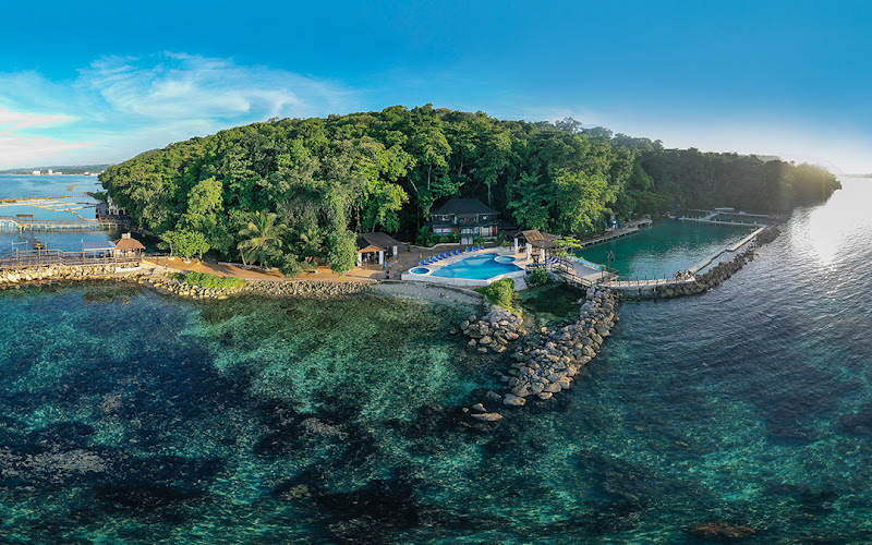 Dolphin Cove Ocho Rios - Tourist attraction in Ocho Rios