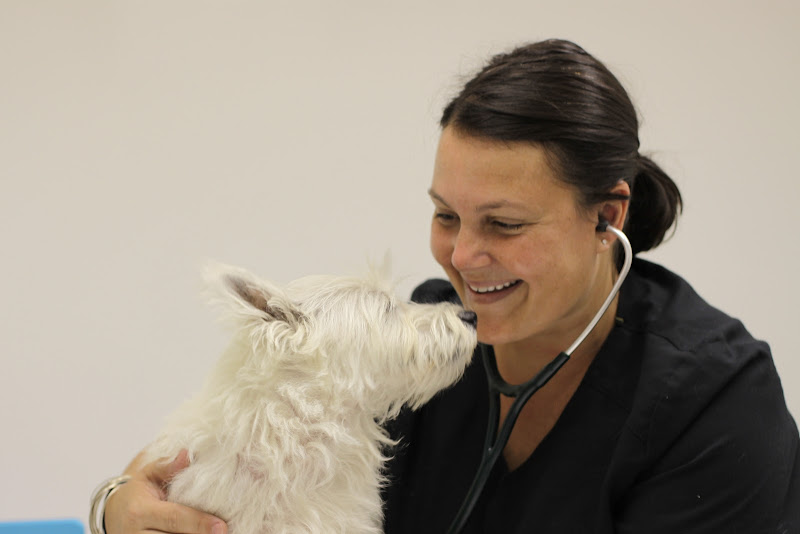 Naples Coastal Animal Hospital