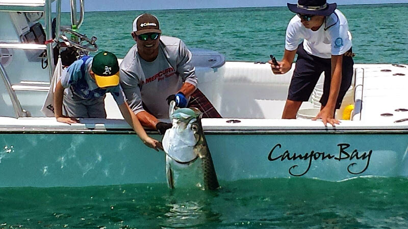 Tampa Fishing Charters
