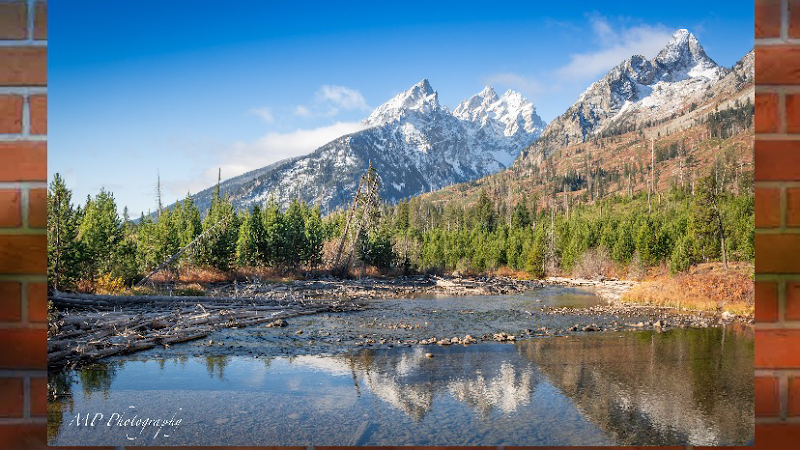 MP (Megan Peterson) Photography