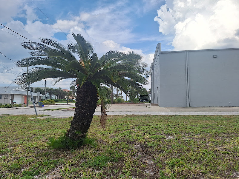 The Keyes Company | New Smyrna Beach - Real estate agency in New Smyrna Beach