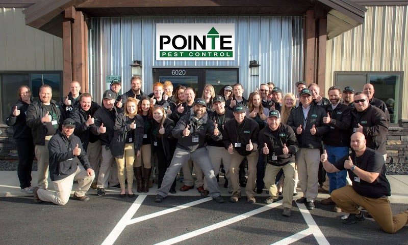Pointe Pest Control photo
