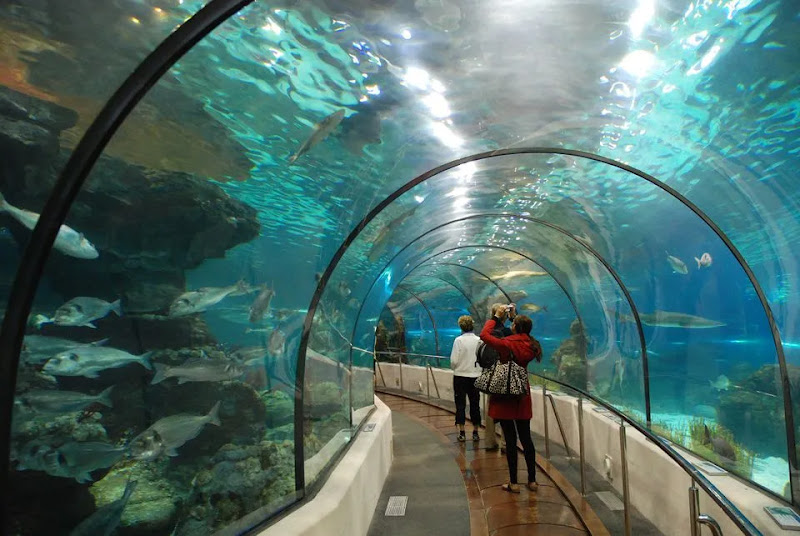The Dallas World Aquarium - Tourist attraction in Dallas