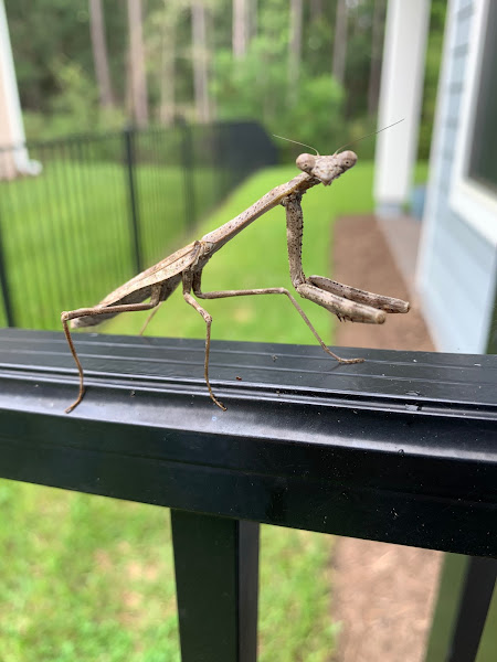 Unity Pest & Wildlife