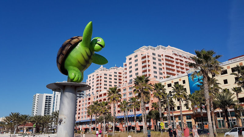 Clearwater Beach Waterslide - Tourist attraction in Clearwater
