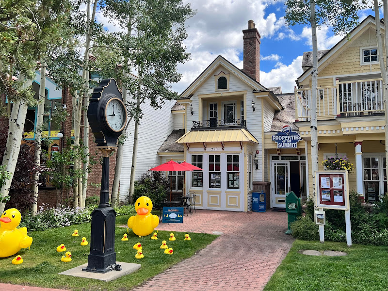 RE/MAX Properties of the Summit - Real estate agency in Breckenridge