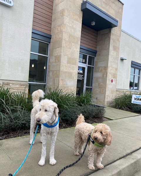 Veterinary Orthopaedic and Mobility Center