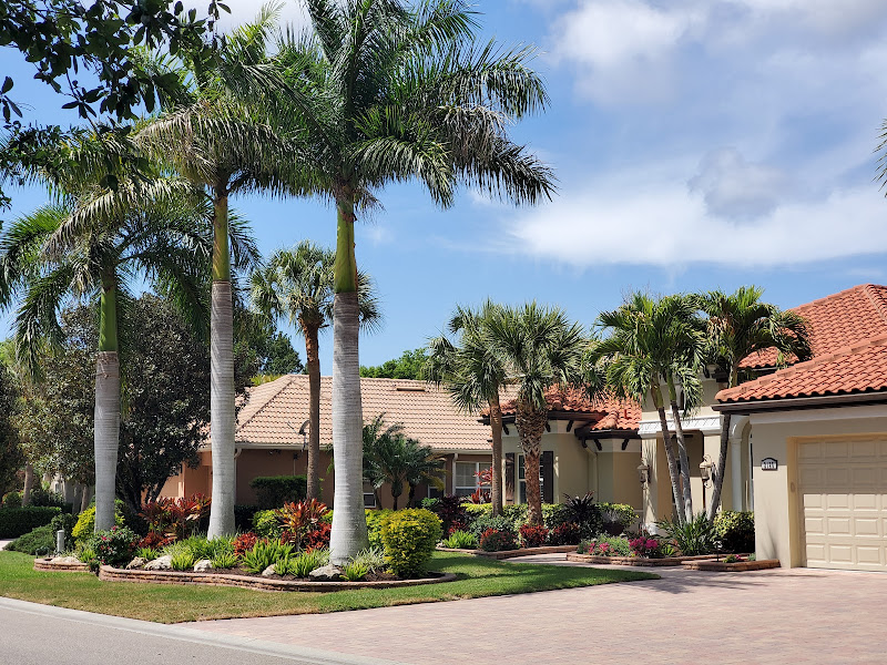 J & J MONTELLANO LANDSCAPING LLC