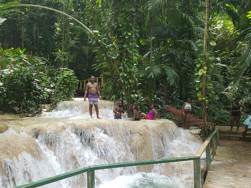 Turtle River Park - Tourist attraction in Ocho Rios