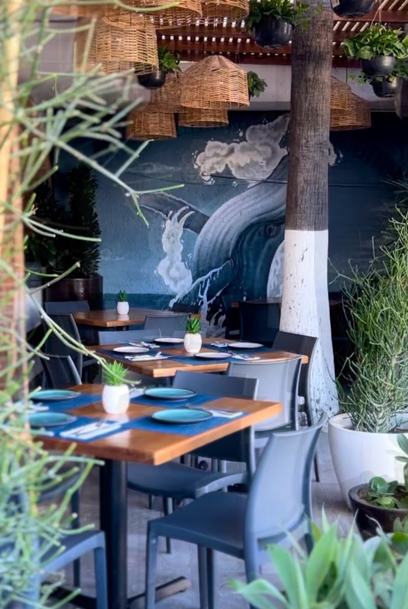 Punta Médano Ceviche & Oyster Bar - Seafood restaurant in Blvd. Lázaro Cárdenas 2501-local D6
