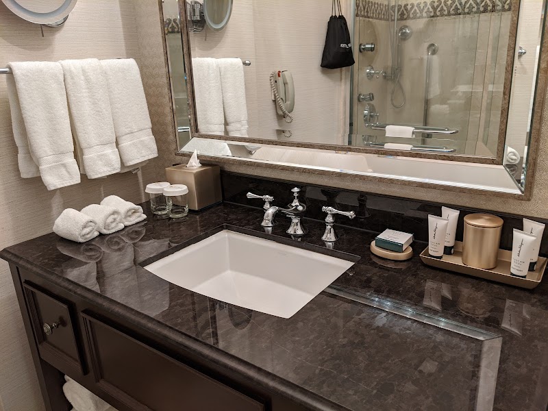 The Roosevelt New Orleans, A Waldorf Astoria Hotel photo