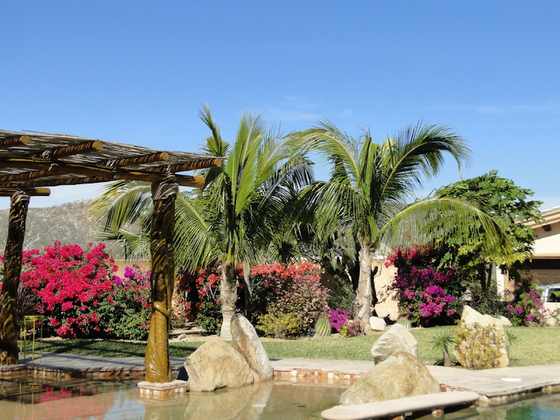 Los Cabos Landscaping - Landscaper in 23473 Cabo San Lucas