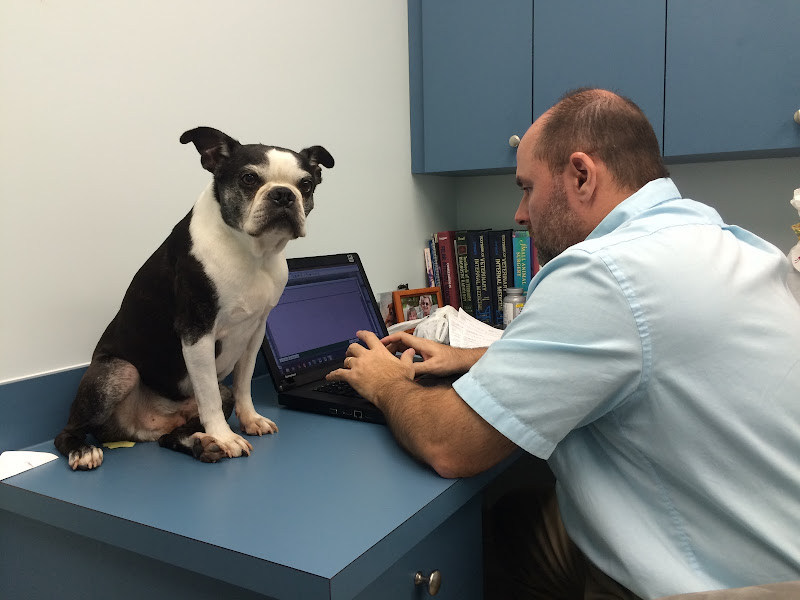 Brickell Bay Animal Hospital