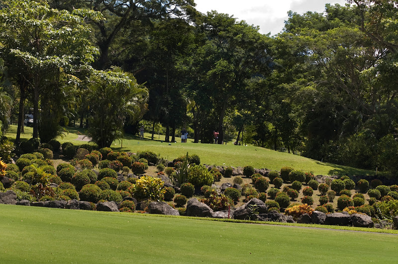 Los Delfines Golf and Country Club - Golf club in Costa Rica