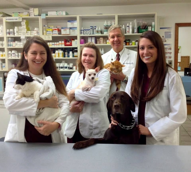 Animal Hospital of North Myrtle Beach