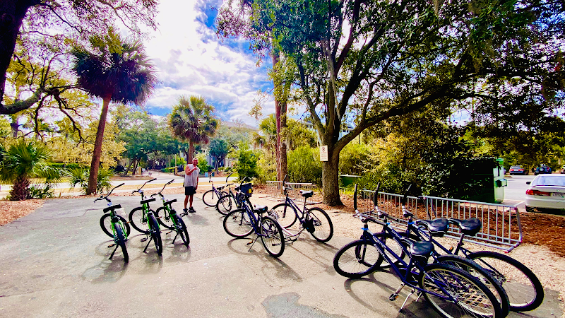 Island Life Bike Rentals & Dolphin Tours| Hilton Head