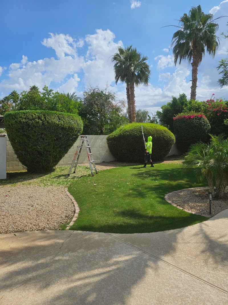 Landscaping Express LLC photo