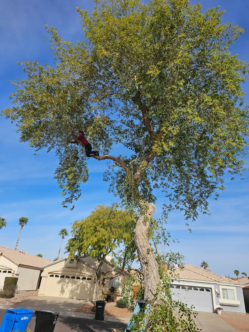 Landscaping Express LLC photo