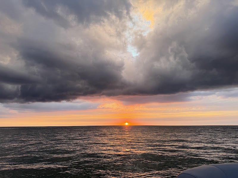 Sarasota Boat Tours photo
