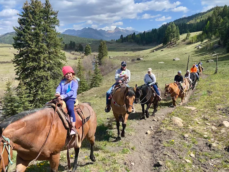 Stone Pass Outfitters - Horseback riding service in Cty Road #631