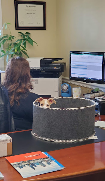 Ancient City Insurance