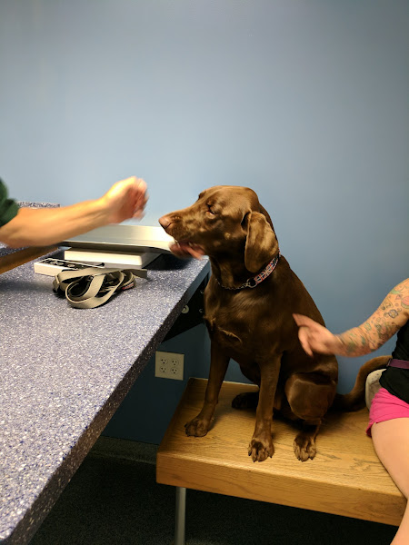 Breeze Animal Hospital