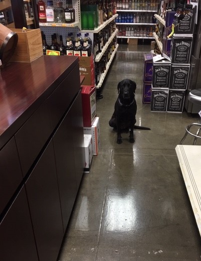 Economy Liquor West End - Liquor store in Galveston