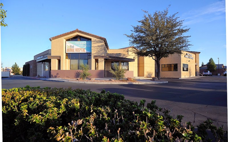 Craig Road Animal Hospital - Veterinarian in Las Vegas