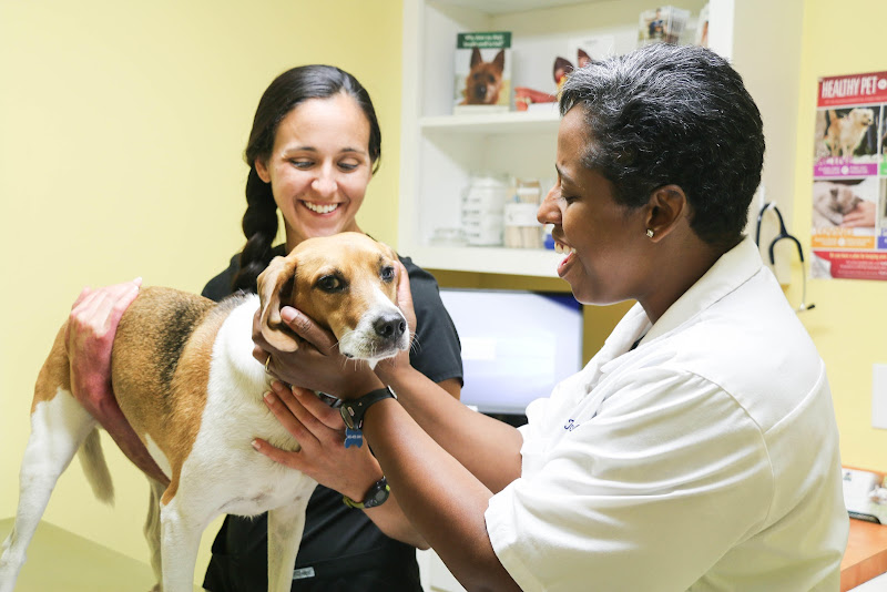 The Animal Hospital of North Charleston - Veterinarian in North Charleston