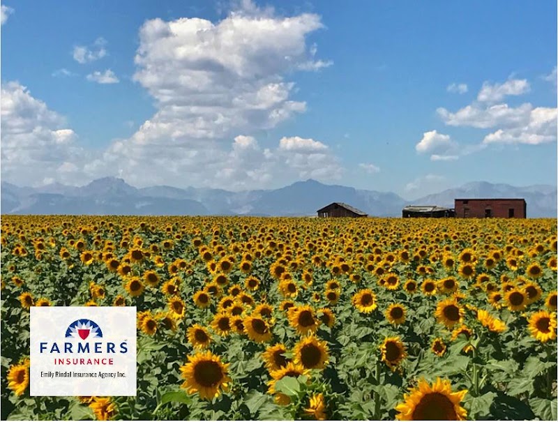 Farmers Insurance - Emily Rindal