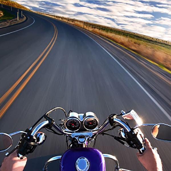 Savannah Insurance Advisors