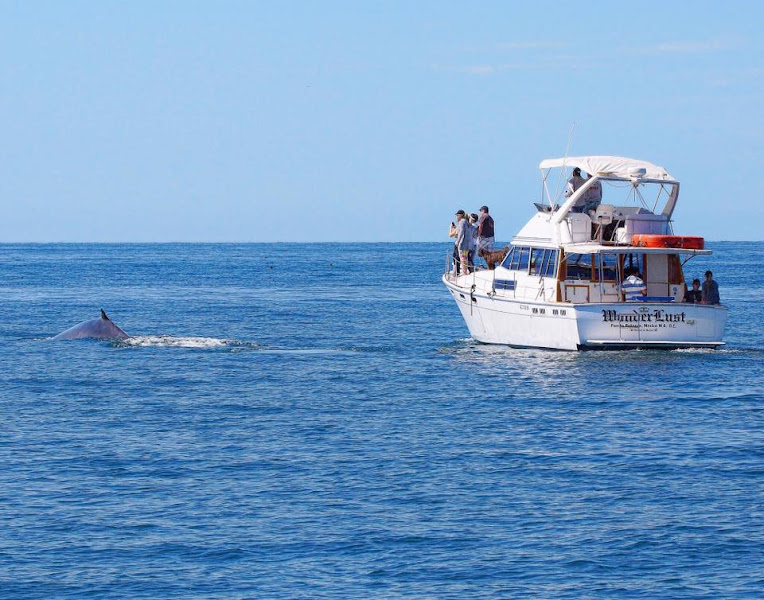 Rocky Point Fishing Club - Tourist information center in Recinto Portuario