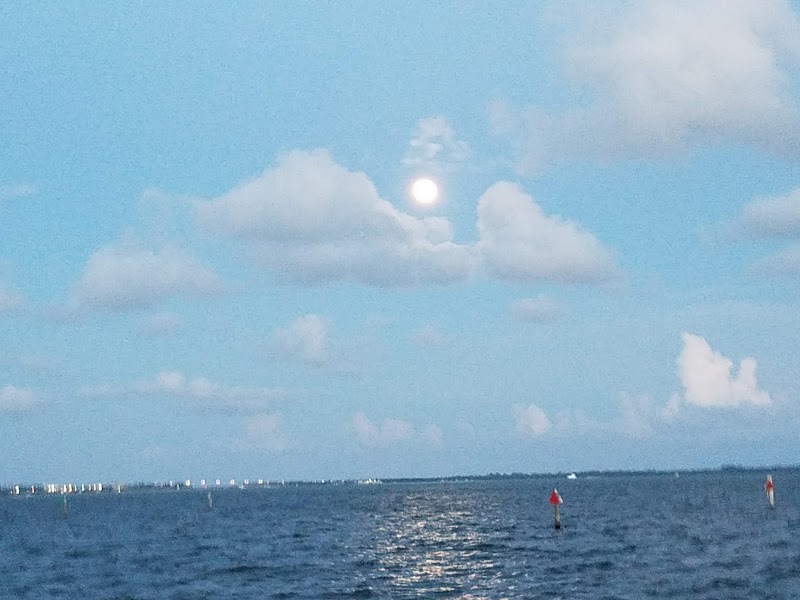 Grove Isle Marina photo