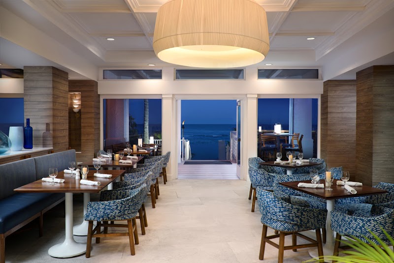 BALEEN - Seafood restaurant in Naples