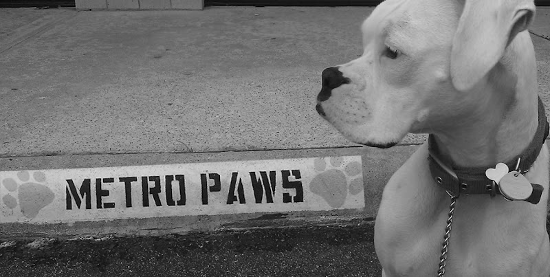 Metro Paws Animal Hospital - Skillman