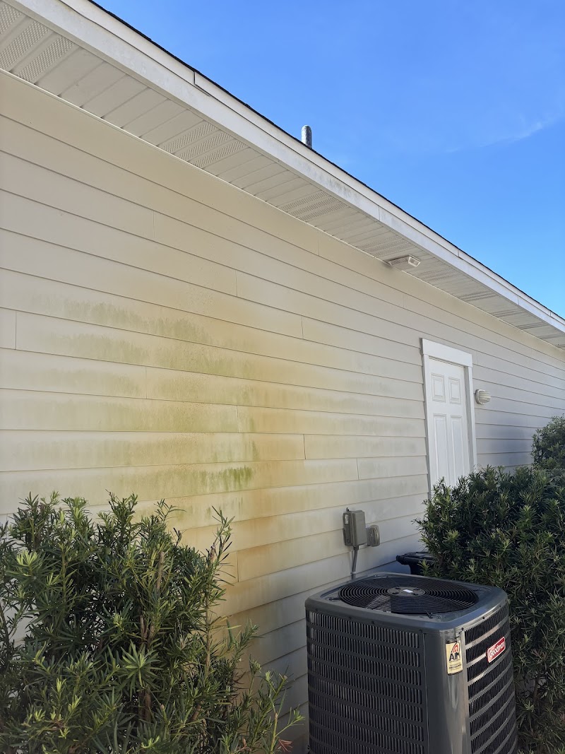 Florida Green Pressure Clean photo