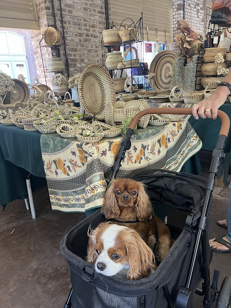 Parkway Animal Hospital