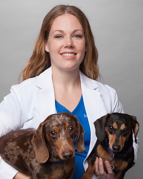 Abrams Forest Veterinary Clinic