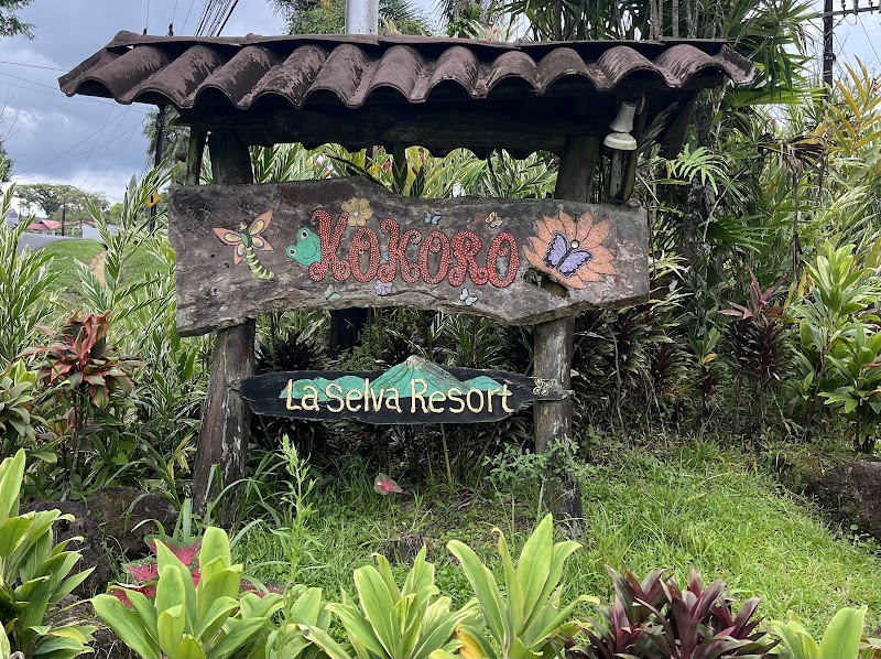 Kokoro - Hotel in 500 mts west of creek La Palma of La Fortuna
