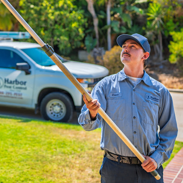 Harbor Pest Control