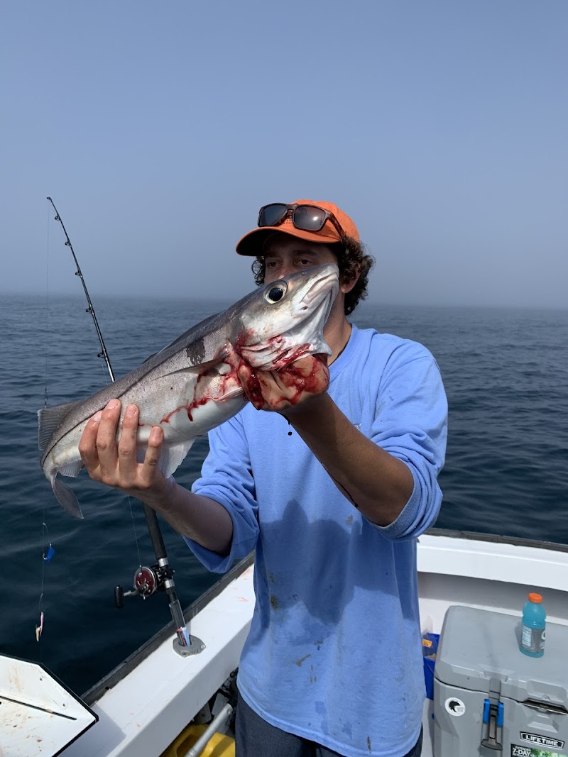 Bad Larry Charters - Portland Maine Deep Sea Fishing And Tours photo
