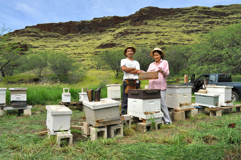 MĀNOA HONEY & MEAD