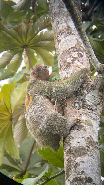 Bogarin Trail - Tourist attraction in Alajuela Province