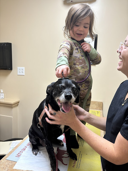 Southside Hospital For Animals