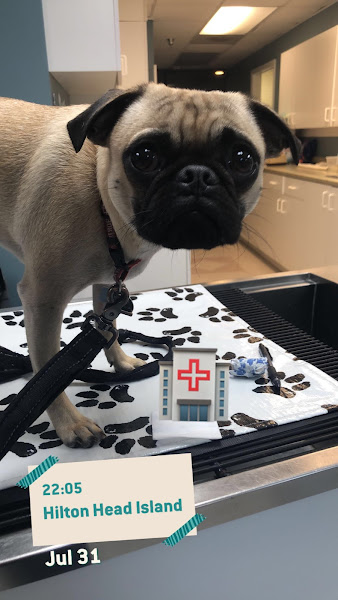 Heritage Animal Hospital, LLC