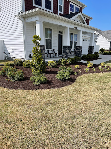 Major League Lawn Care