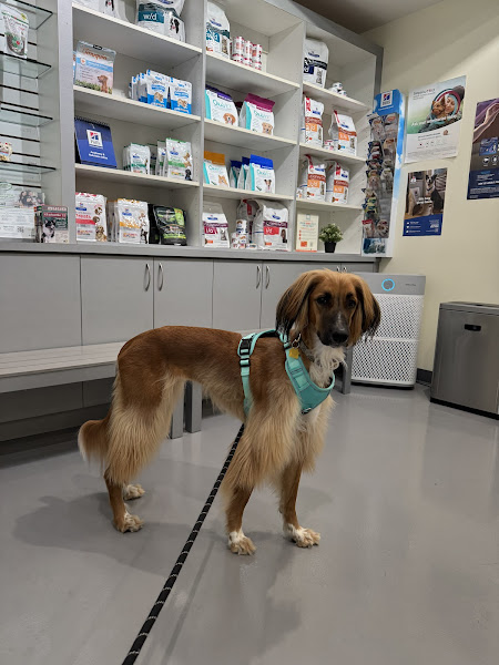 Grand Park Animal Hospital