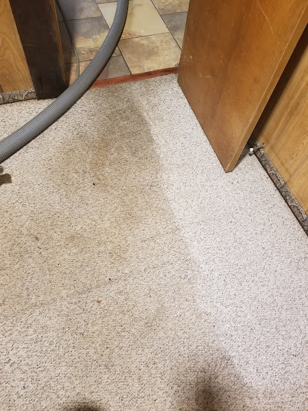White Glove Carpet Care